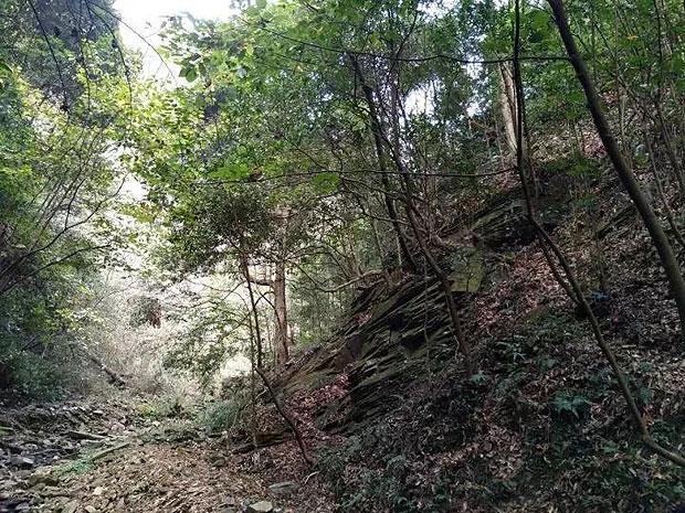 探索葵花嫌电影票太贵要去退票,不想前台不让退不说,还把男友气走了,分享思想与见解