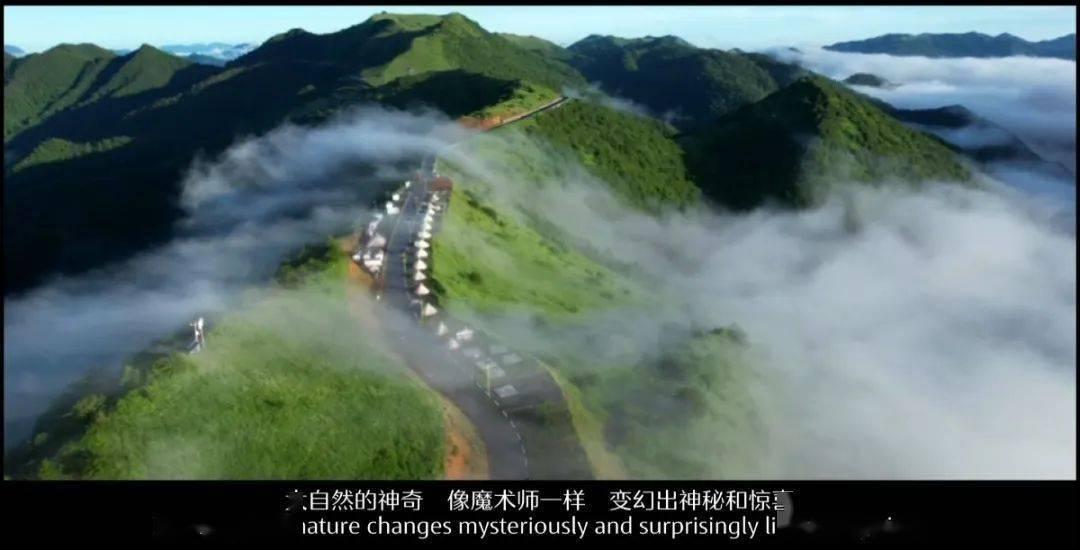 热播五虎将/健康海口:举办公益培训 提升急救意识