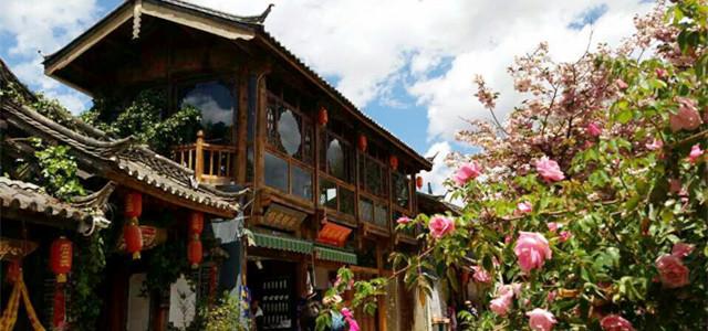 梦想的后院